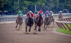Horse race