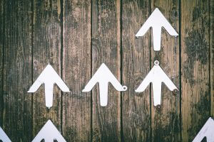 Align your organization's direction