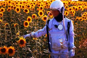 Astronaut in a sunflower field