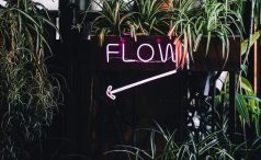 Pink neon light spelling flow with various plants