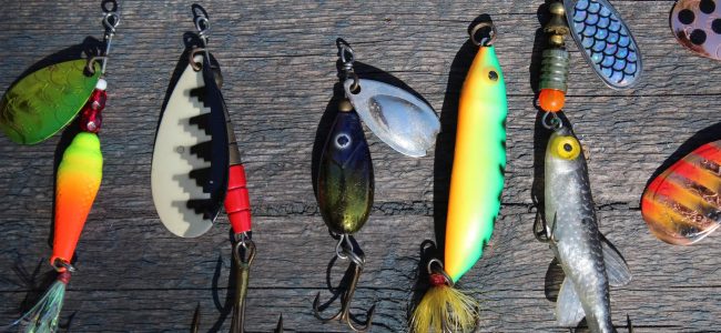Several multi-colored fishing lures.