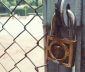 Fence lock